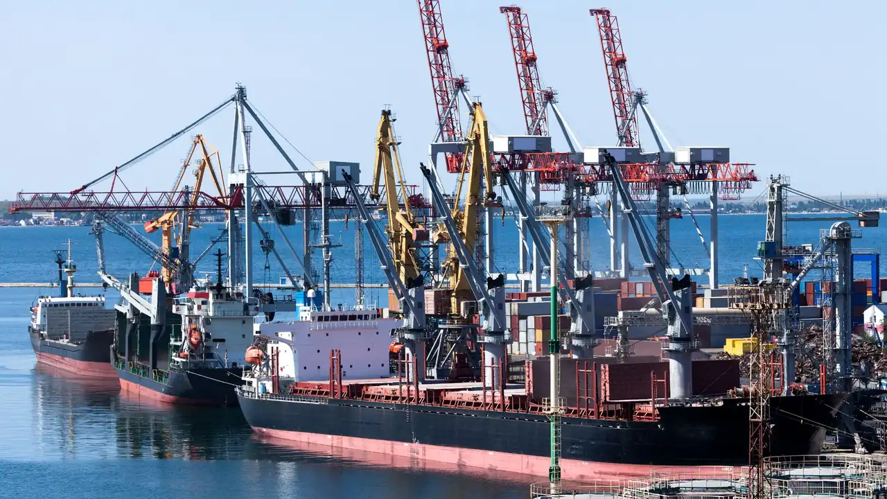 A busy port with several bulk carriers being loaded by shore cranes